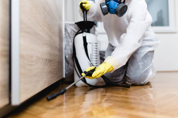 Best Mosquito Control Services  in Marlow, OK