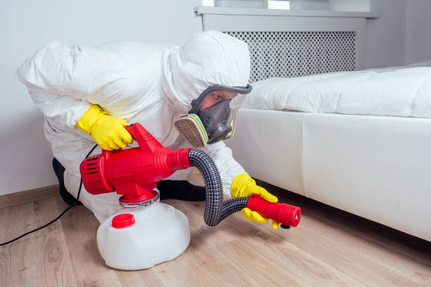 Flea Control Services in Marlow, OK